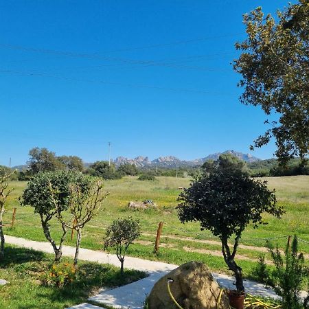 Lu Antu Alloggi Agrituristici Арцакена Экстерьер фото