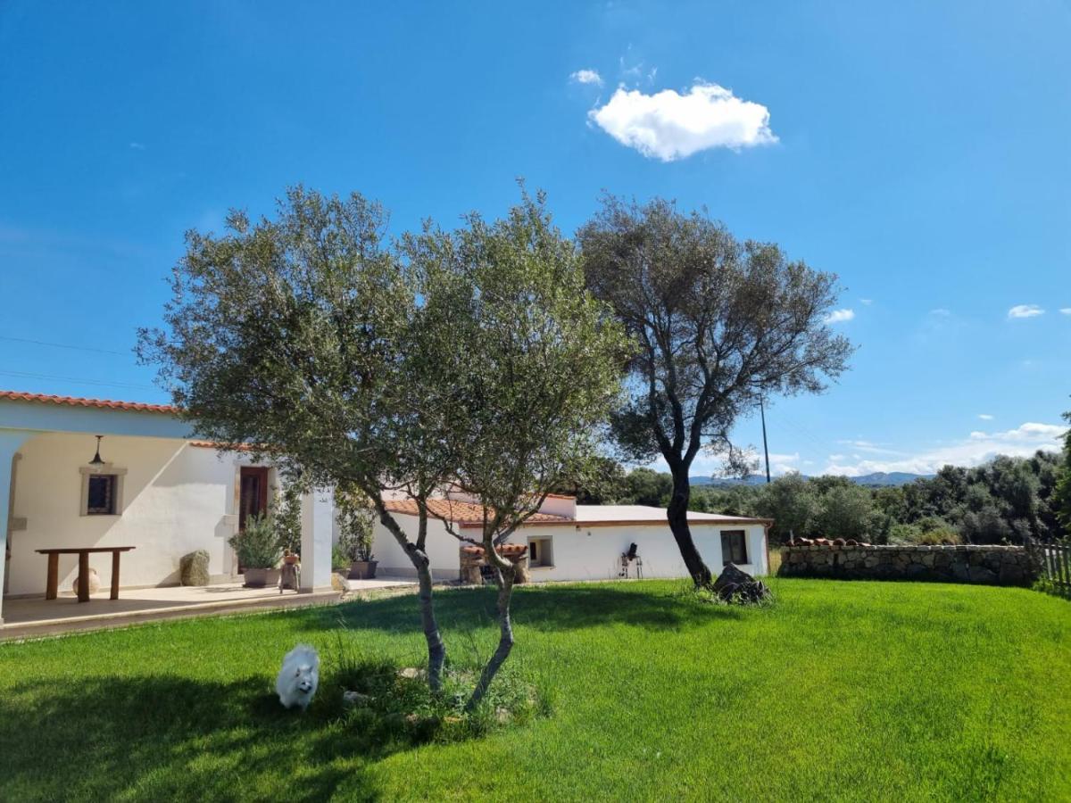 Lu Antu Alloggi Agrituristici Арцакена Экстерьер фото