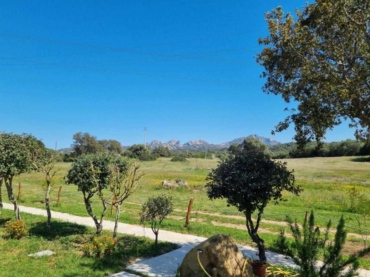 Lu Antu Alloggi Agrituristici Арцакена Экстерьер фото
